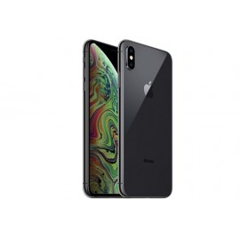 iPhone XS 256Gb (98-99%)