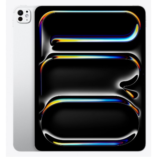 IPAD PRO M5 13 INCH 256GB WIFI IPAD PRO M5 13 INCH 256GB WIFI