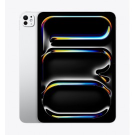 IPAD PRO M5 11 INCH 256GB WIFI